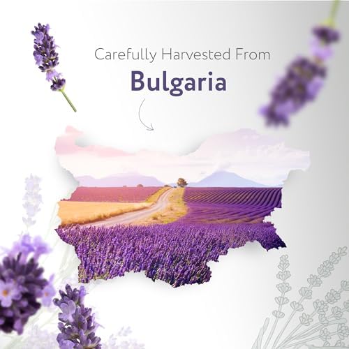 HBNO California Bottled Organic Lavender Essential Oil 1 fl oz (30ml) - USDA Certified Organic Lavender Oil for Skin, Perfect for Cleaning, Aromatherapy, DIY & Diffuser