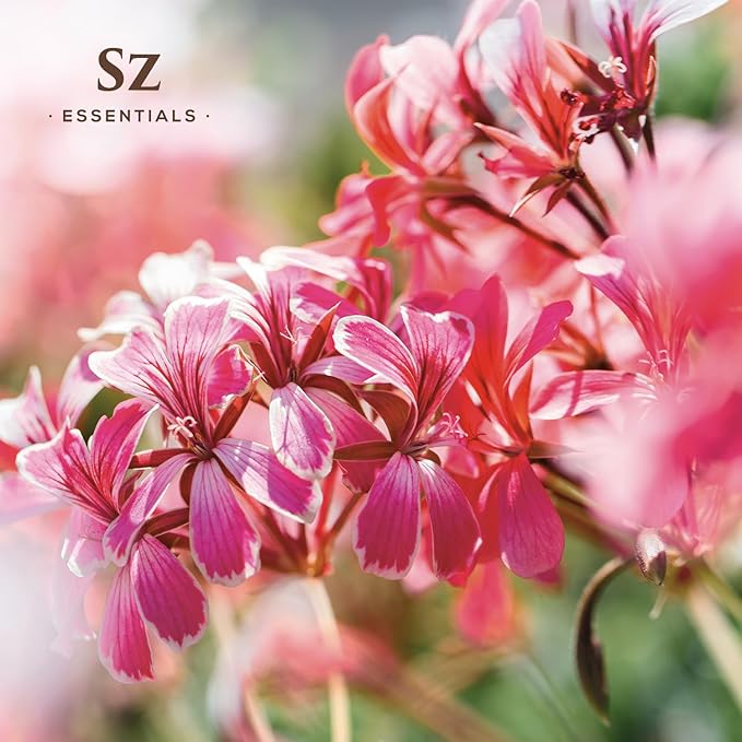 High Altitude Geranium Essential Oil – 100% Pure & Natural, Grown in The High-Altitude – Aromatherapy, Home Use – Therapeutic Grade & Vegan – 5 mL