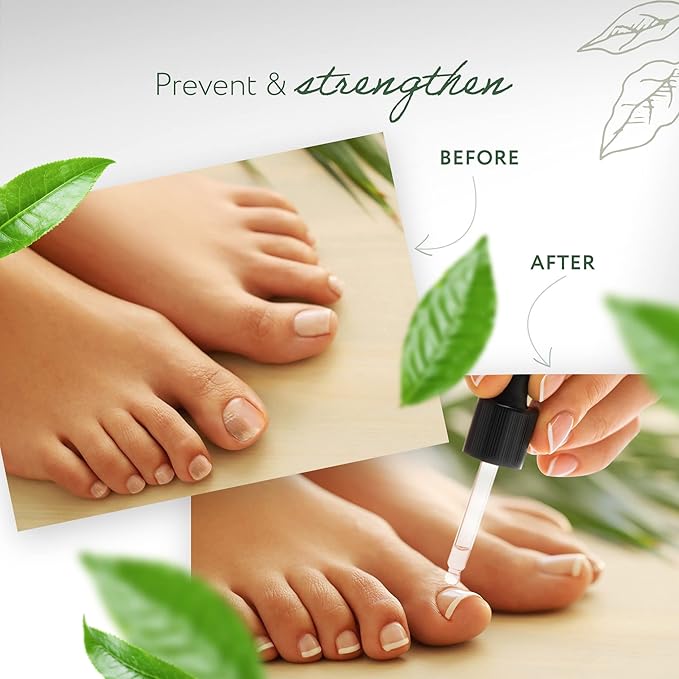 HBNO California Bottled Organic Tea Tree Oil for Skin & Hair - 4 fl oz (120ml) - USDA Certified Organic Tea Tree Oil for Aromatherapy