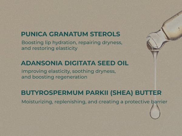 INNA Organic Lip Serum, Moisturizing, Fine Line Care & 100% Vegan, EWG & COSMOS Certified | Frankincense Essential Oils Infused Skin Care | Luxury Clean Beauty