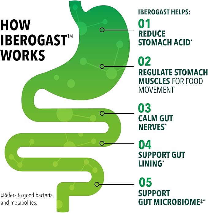 Iberogast Liquid Drops, Herbal Relief of Stomach Upsets: Occasional Indigestion, Bloating, Gas, Nausea, Upset Stomach; Gluten Free; 6-Herb Blend with Iberis Amara, Peppermint, Licorice; 50mL