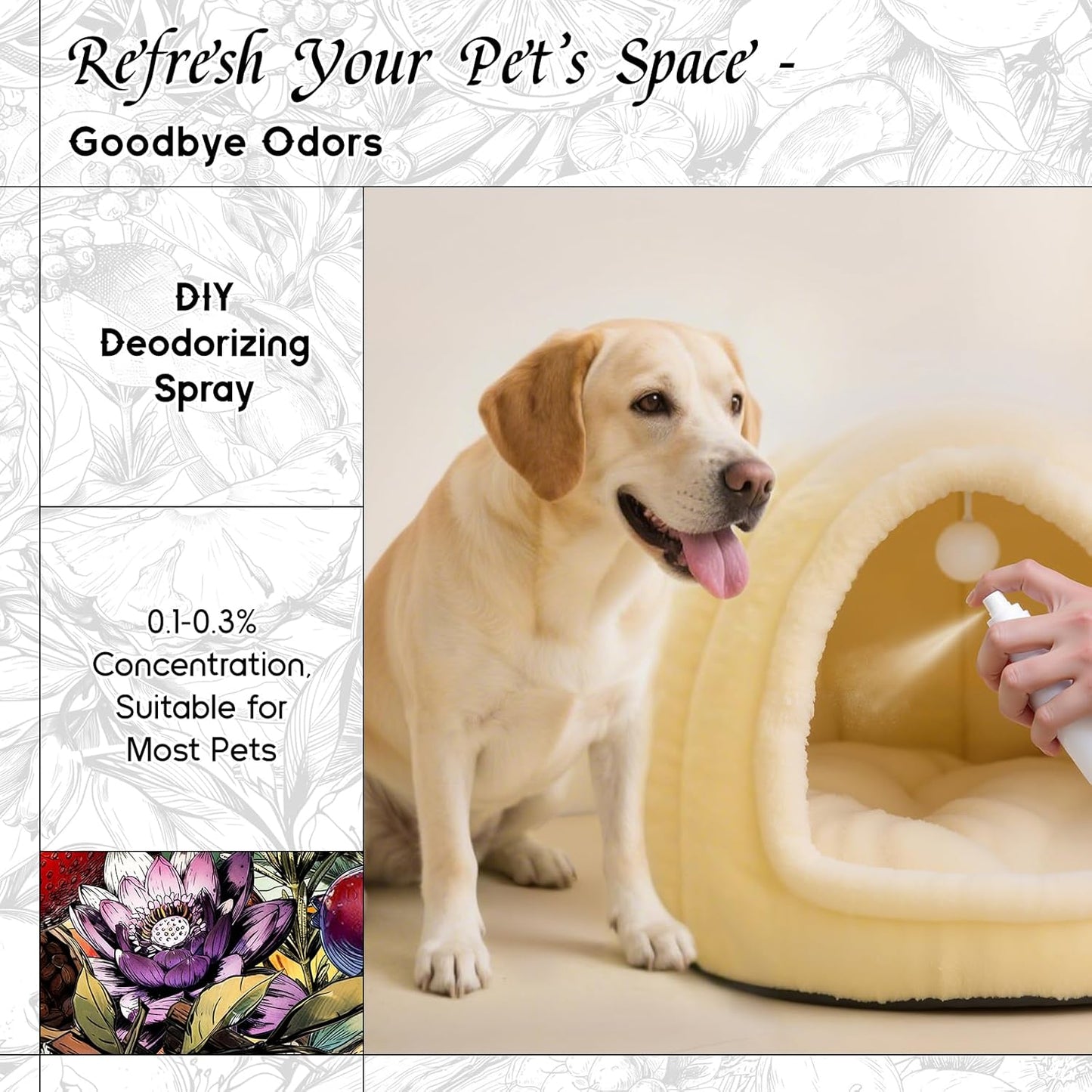 HIQILI Water Lily Papyrus Fragrance Oil for DIY Soap, Inspired by ISY-Myake L.d'Isy, Perfume, Candle Making, Fresh Scents for Laundry Dryer Balls, Gifts- 1 Fl Oz